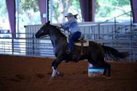 TRS00013
