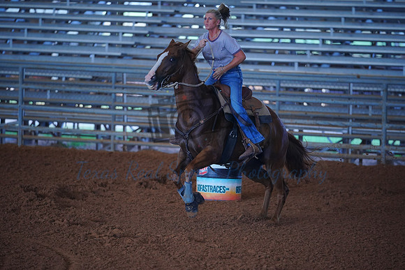 TRS00013