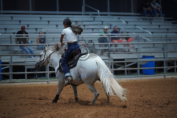 TRS00015