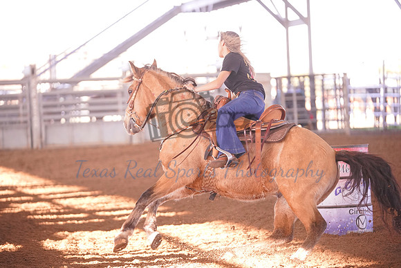 GCB00013