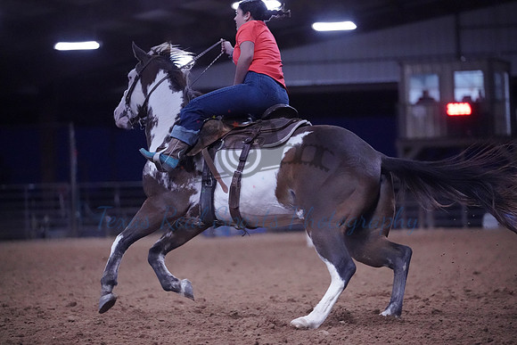 TRS00013