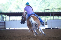 TRS00010