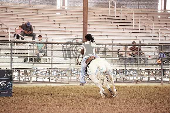 CBP00004