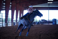 TRS00011