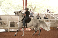 GFR00017