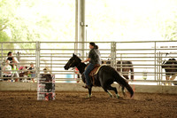 GCB00013