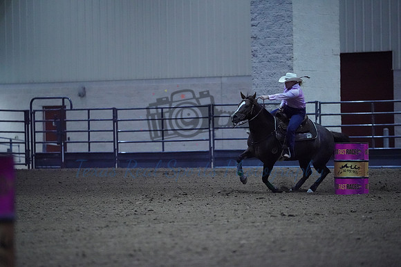 TRS00046