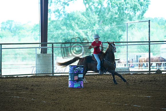 TRS00011