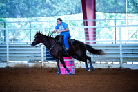 TRS00017