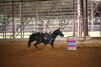 GFR00010