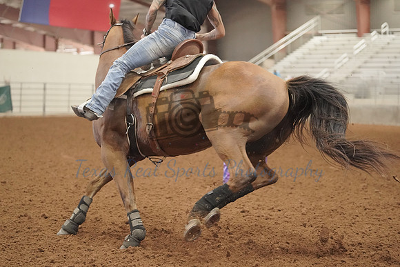 GCB00011
