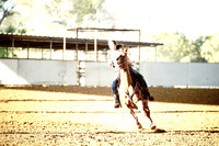 SCC00004