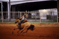GFR00003