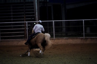 GFR00003