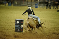 _CBP0014