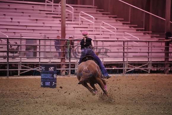 CBP00003
