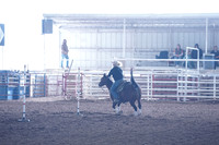 CBP00006