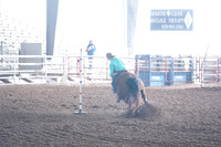 CBP00006