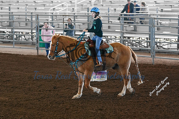 DSC02456 (1)