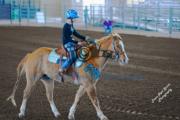 DSC02473 (1)