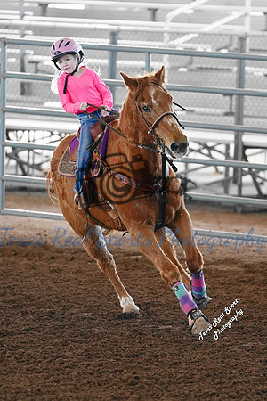 DSC02493 (1)