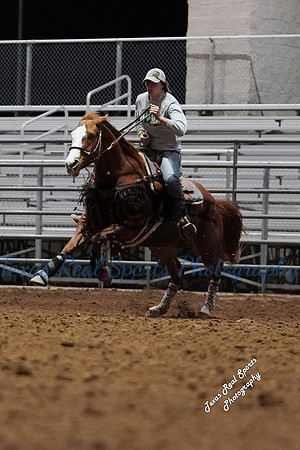 DSC03338 (1)
