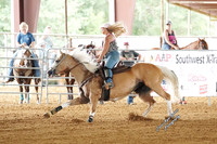 DSC02930 (1)