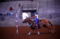 GCB00017