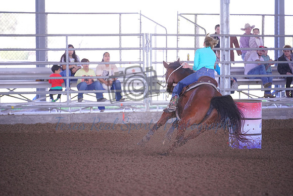 GCB00007