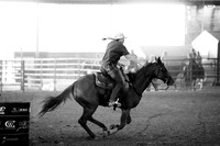 CBP00019