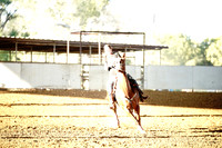 SCC00003