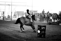 CBP00009