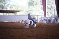 GFR00009