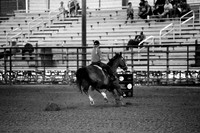 CBP00017