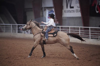 GFR00017