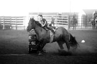 CBP00009