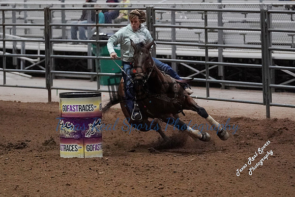 DSC02240 (1)