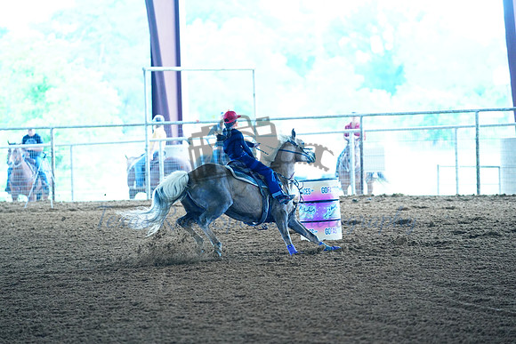 GFR00019