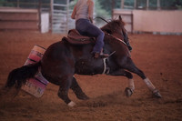 GFR00008