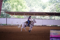 GFR00017