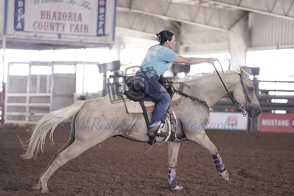 GCB00017