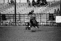 CBP00019