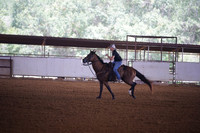 GFR00019