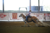 CBP00003